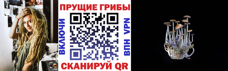 Галлюциногенные грибы MAGIC MUSHROOMS Цимлянск
